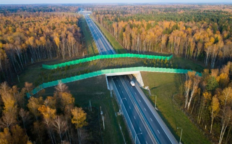 В заповедниках могут появиться тоннели и экодуки