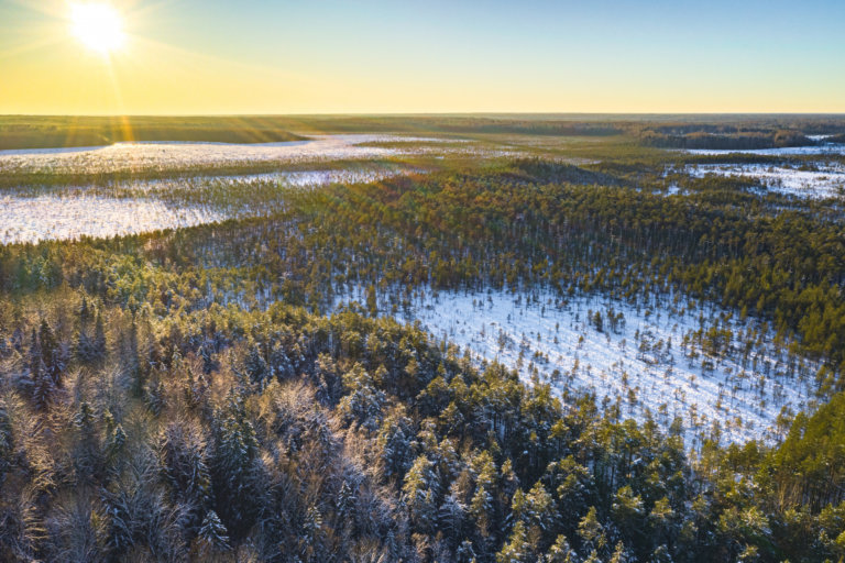 В Нижегородской области создадут нацпарк «Нижегородское Поволжье»