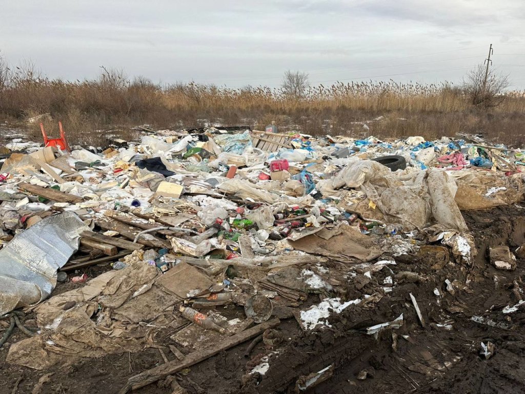 В российских регионах проверяют незаконные свалки