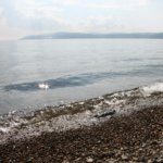 У побережья Байкала выявили превышение санитарных нормативов
