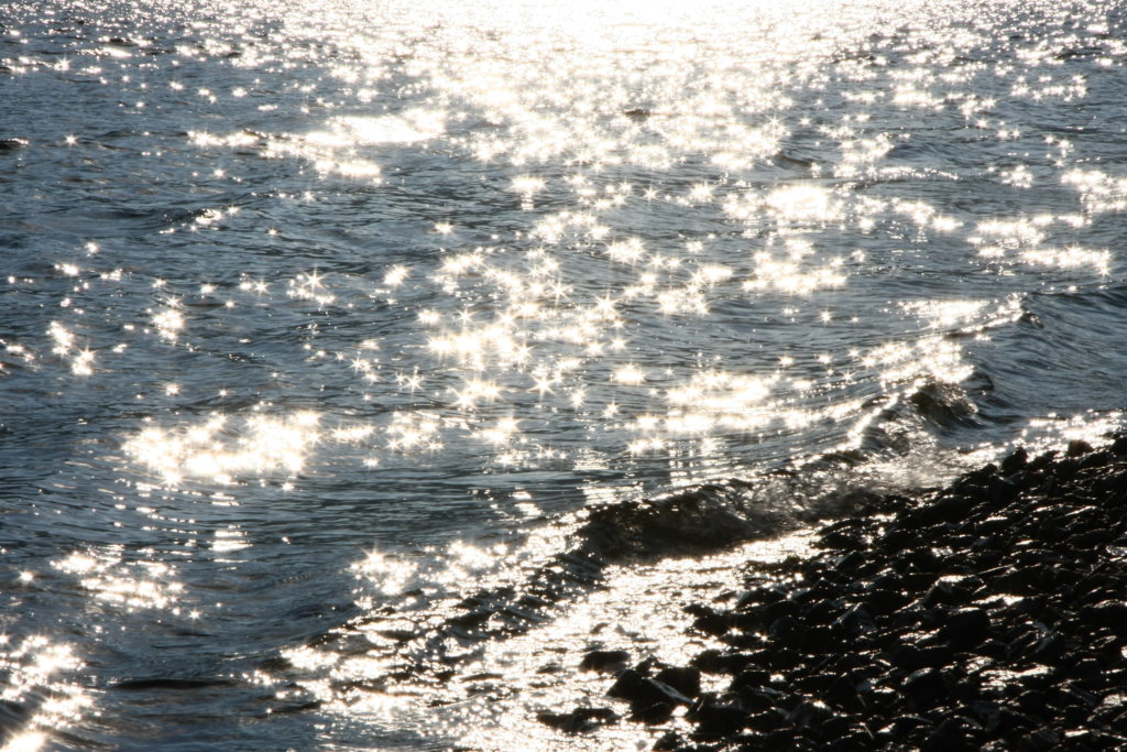 «Точка №1»: Байкал в 2025 году стал прозрачнее