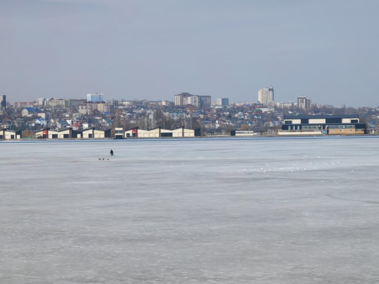 Воронежское водохранилище — самый загрязненный водоем региона