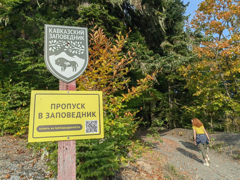 Правительство внесло в Госдуму законопроект об изменении режима использования ООПТ