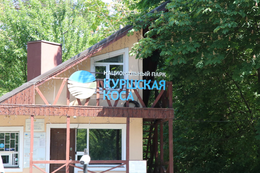 Директор нацпарка «Куршская коса» задержан правоохранительными органами