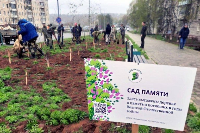 Деревья «Сада памяти» поглотят 3,2 миллиона тонн СО2 за 40 лет