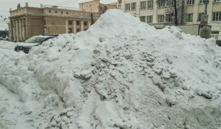 Деревьям и газонам Оренбурга угрожает гибель из-за грязного снега