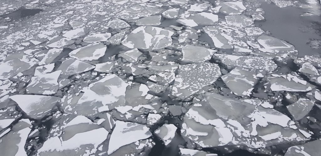 Площадь морского льда в Антарктике в 2026 году частично восстановилась