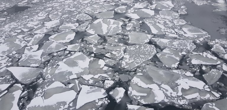 Площадь морского льда в Антарктике в 2026 году частично восстановилась