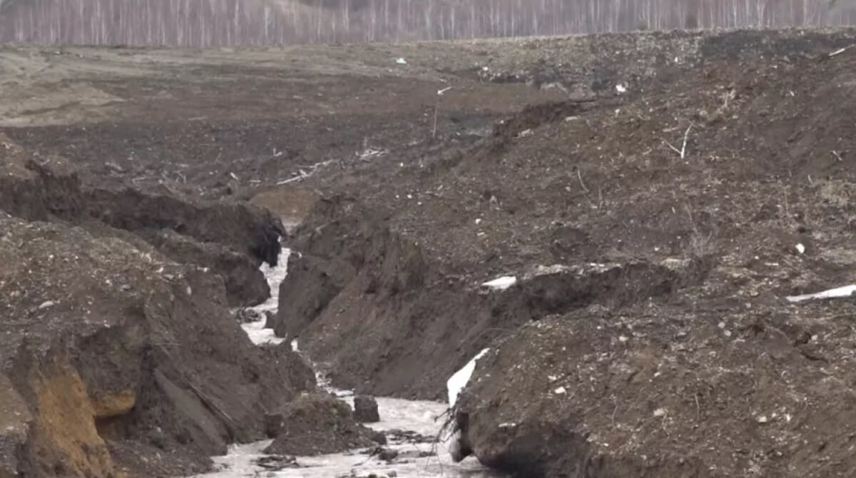 Алтайское предгорье пытаются спасти от золотодобытчиков ⋆ НИА 