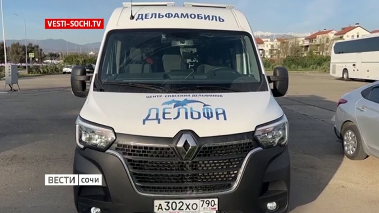 В Сочи появился «Дельфамобиль»