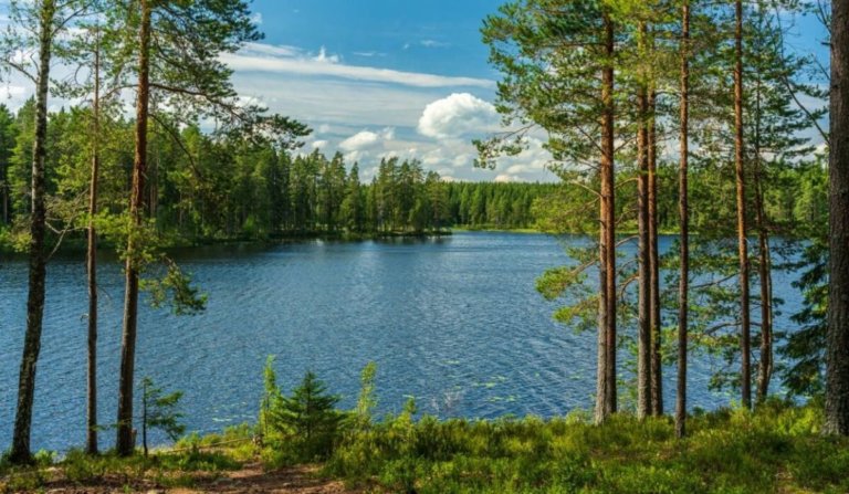 В Калининградской области появится новая ООПТ