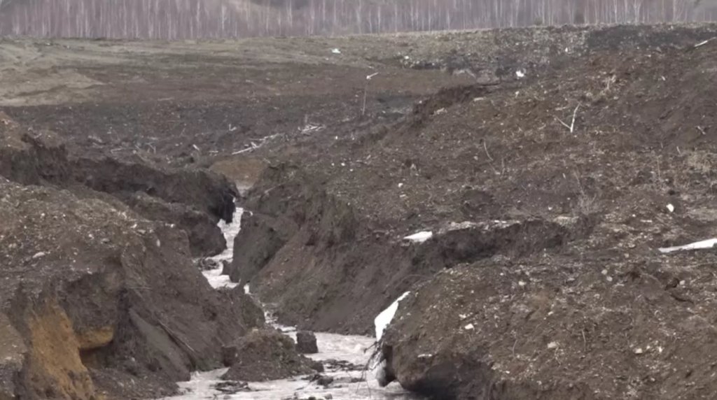 Алтайское предгорье пытаются спасти от золотодобытчиков