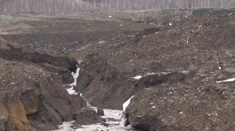 Алтайское предгорье пытаются спасти от золотодобытчиков
