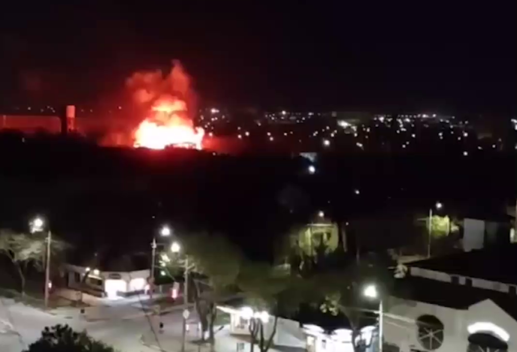 Евпаторийская трагедия: в пожаре погибло более 200 видов животных