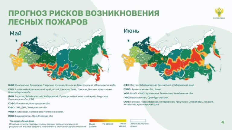 Шесть российских регионов не готовы к новому пожароопасному сезону