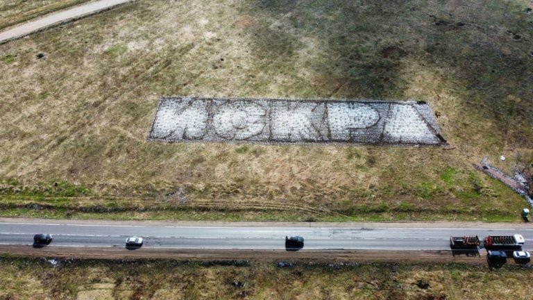 В Ленобласти сгорела высаженная роща-геоглиф «Искра»
