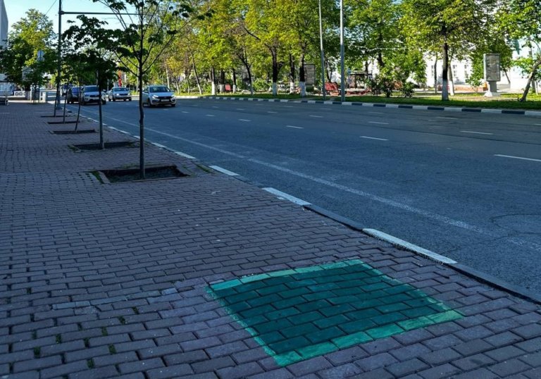Активист рисует в Ульяновске зеленые квадраты на месте вырубленных деревьев