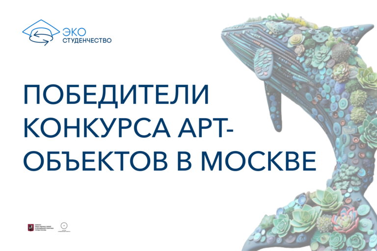 Киты из переработанных пластиковых крышек стали победителем конкурса арт-объектов