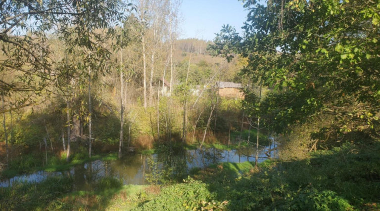 В Калужской области расчистят Каменку
