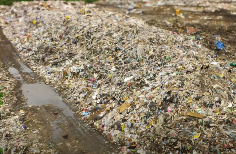 В Волгоградской области по решению суда ликвидируют незаконный мусорный полигон