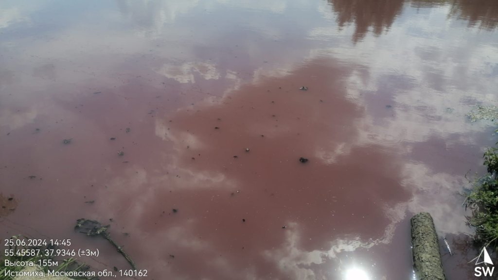 загрязнение реки Мураниха, Московская область, 2024 (3)