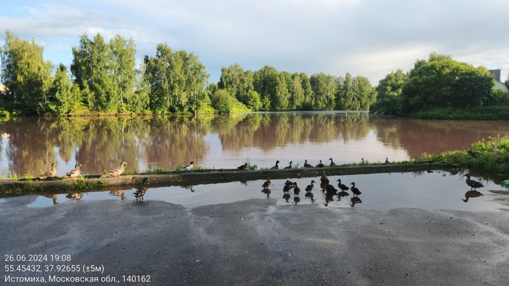 загрязнение реки Мураниха, Московская область, 2024 (5)