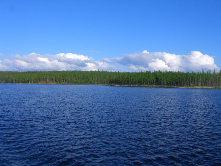 В Вилюйское водохранилище выпустили 220 тысяч мальков пеляди