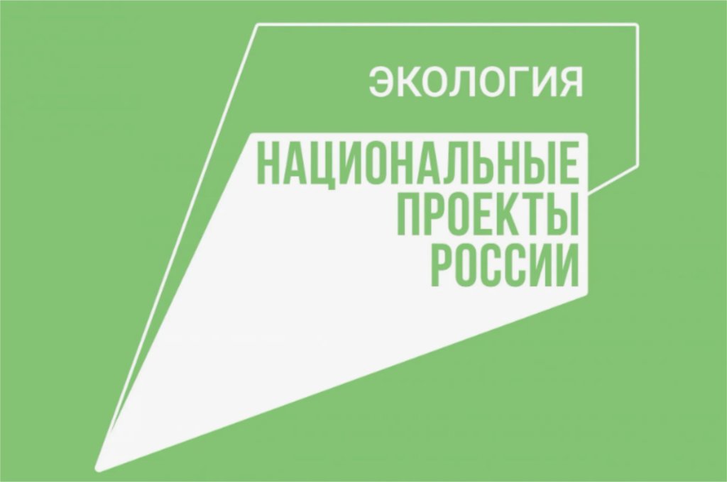 Нацпроект «Экологичекое благополучие» представят совету при президенте до 1 сентября