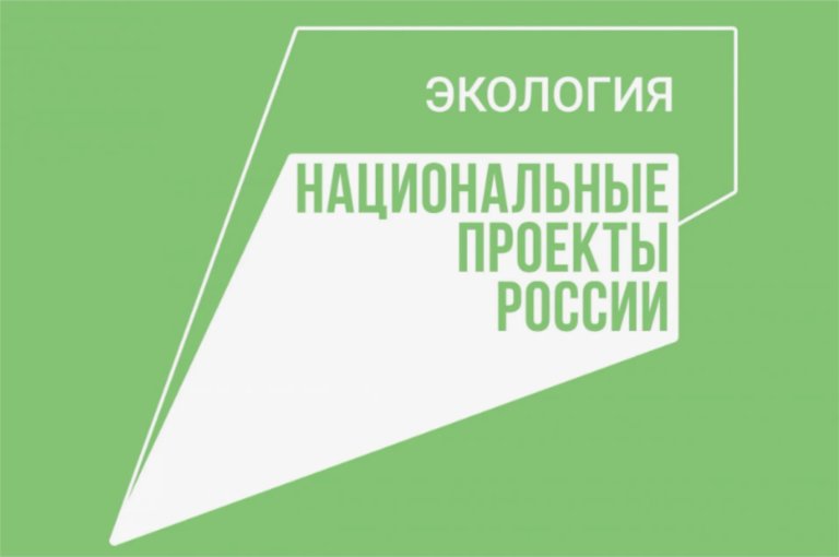 Нацпроект «Экологичекое благополучие» представят совету при президенте до 1 сентября