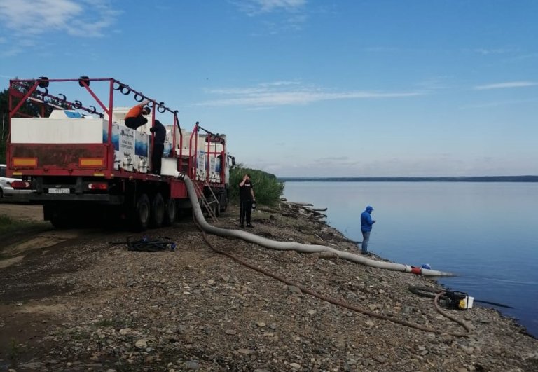 В Енисей выпустили почти 230 тысяч особей сибирского осетра