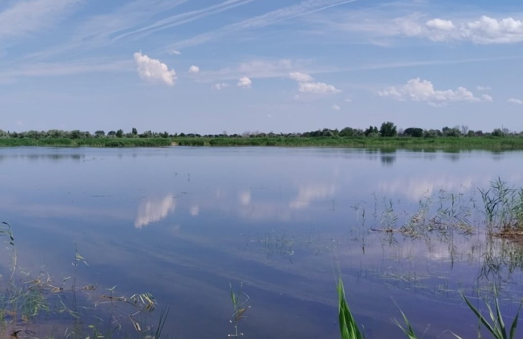 В Волго-Ахтубинской пойме завершается расчистка трех водоемов