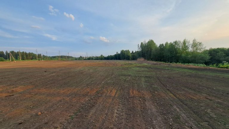 Свалку в Омутнинске рекультивировали на полгода раньше