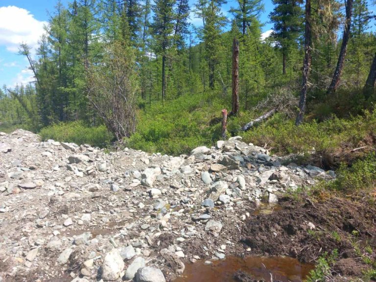 Компания в Тыве загрязнила почву на треть миллиарда рублей
