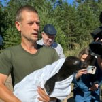 В Ленобласти в природу вернулись четыре нерпы