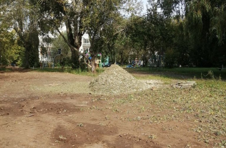 В долине реки Данилиха в Перми убрали более 340 овощных ям