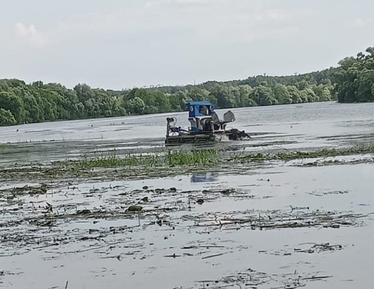 В Подмосковье завершается расчистка реки Ликовы