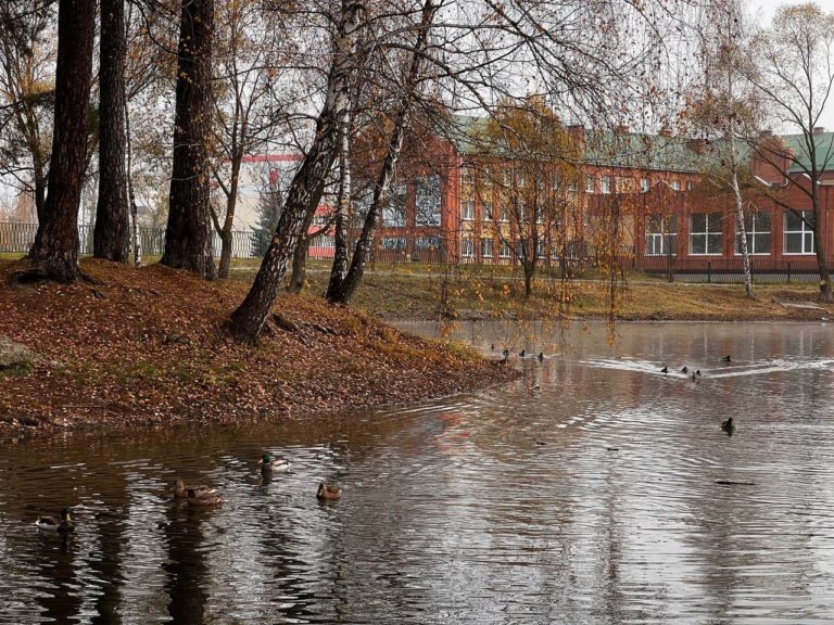 В Коломне расчистили Щуровские пруды