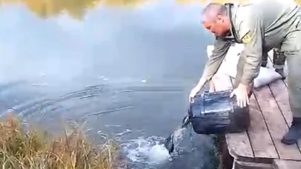 В Татарстане в пруд выпустили мальков сазана, карпа, карася и толстолобика