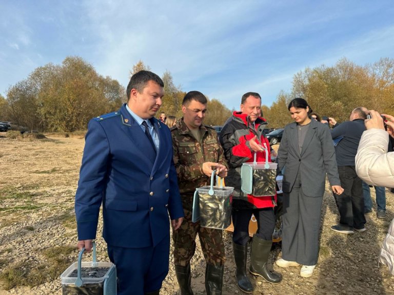 В Чебоксарское водохранилище выпустили 50 тысяч мальков стерляди