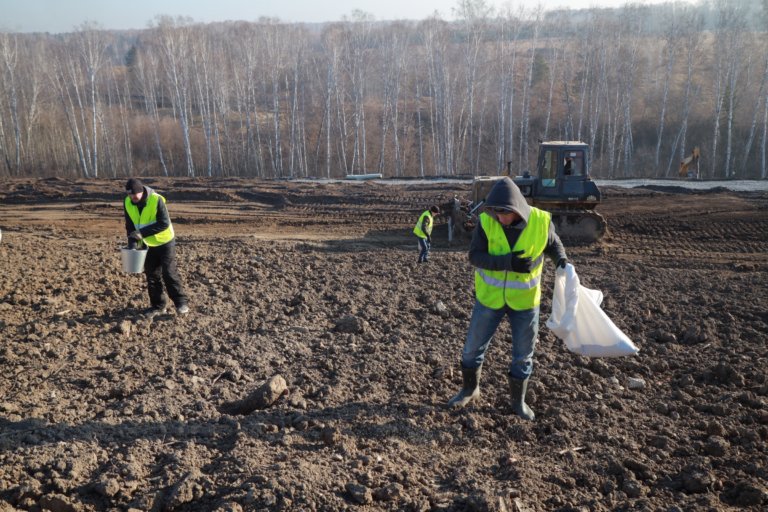 В Новосибирске завершается рекультивация незаконной свалки