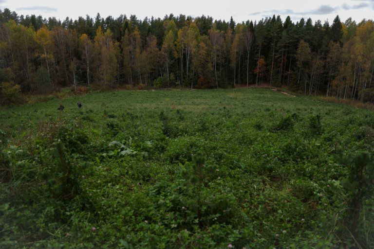 Петербургский заказник «Озеро Щучье» очистили от старой свалки