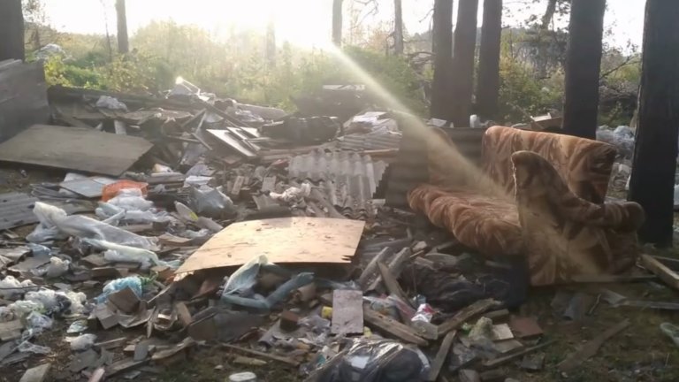 Томские леса тонут в свалках длиною в сотни метров