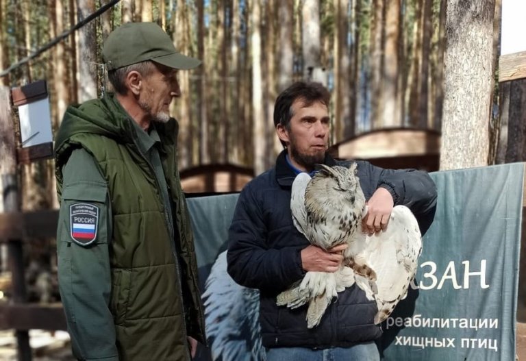 В Екатеринбурге спасли ослабленного филина