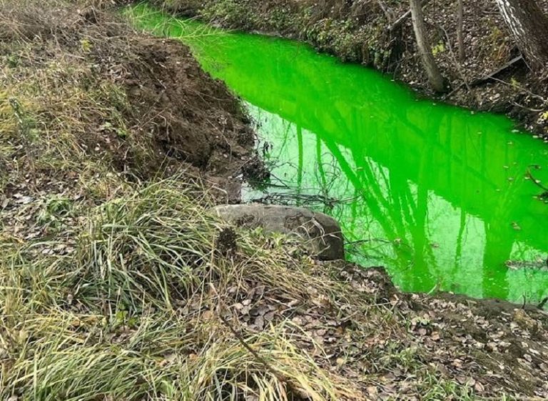 В Подмосковье обнаружили «ярко-зеленую реку»