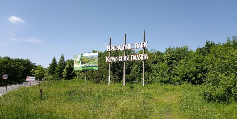 Сразу две рощи присоединят к природному памятнику «Кумысная поляна»