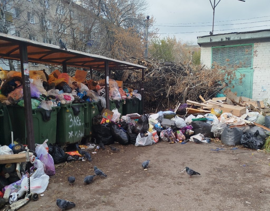 Самарская область утопает в отходах