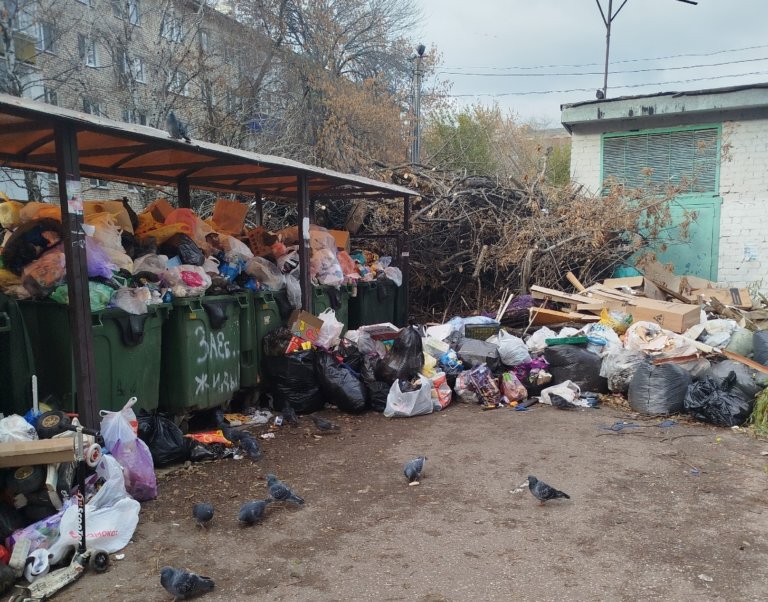 Самарская область утопает в отходах
