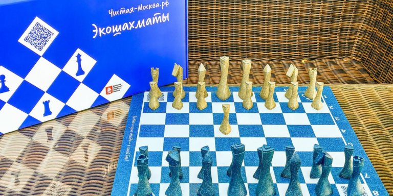 В Москве появились экошахматы