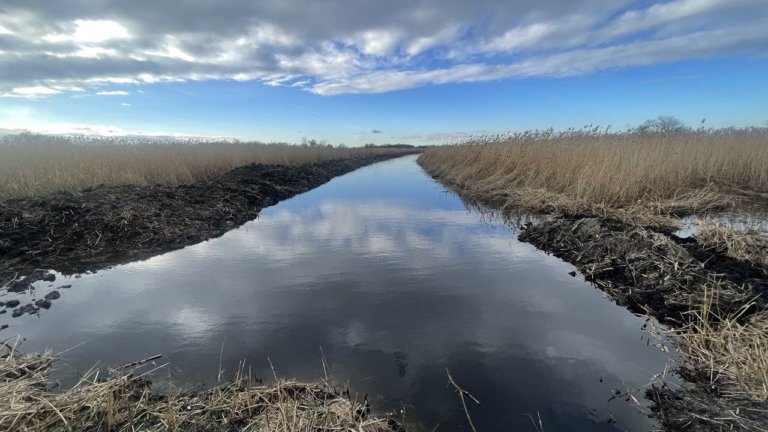 В Краснодарском крае завершили расчистку реки Гречаной