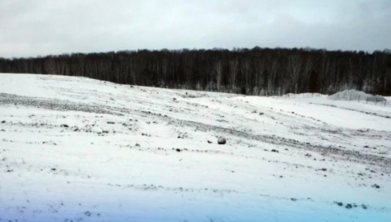 В Новосибирской области ликвидировали две незаконные свалки